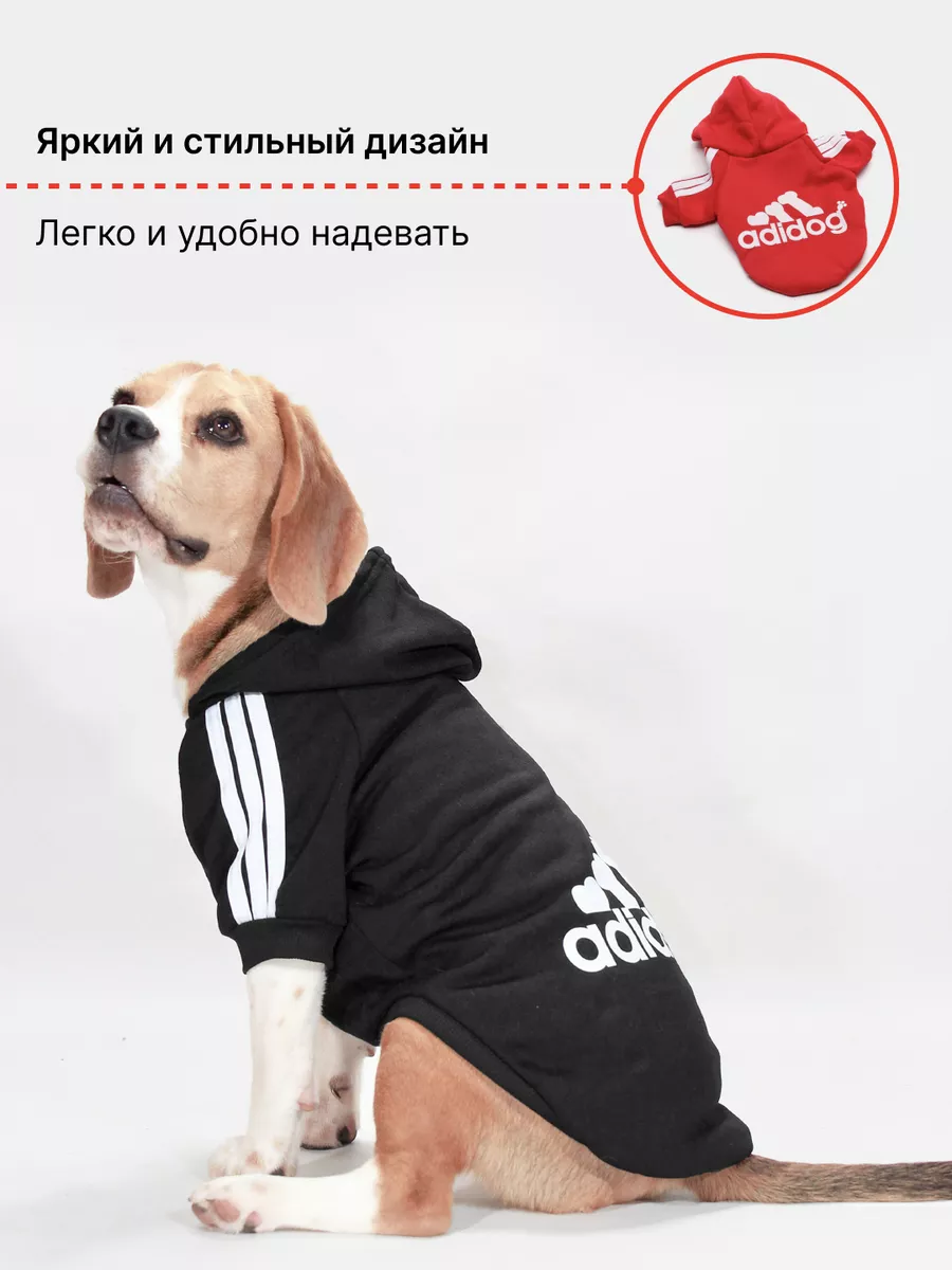 Изготавливаем одежду для собак дома - Димон-Камон, одежда для собак