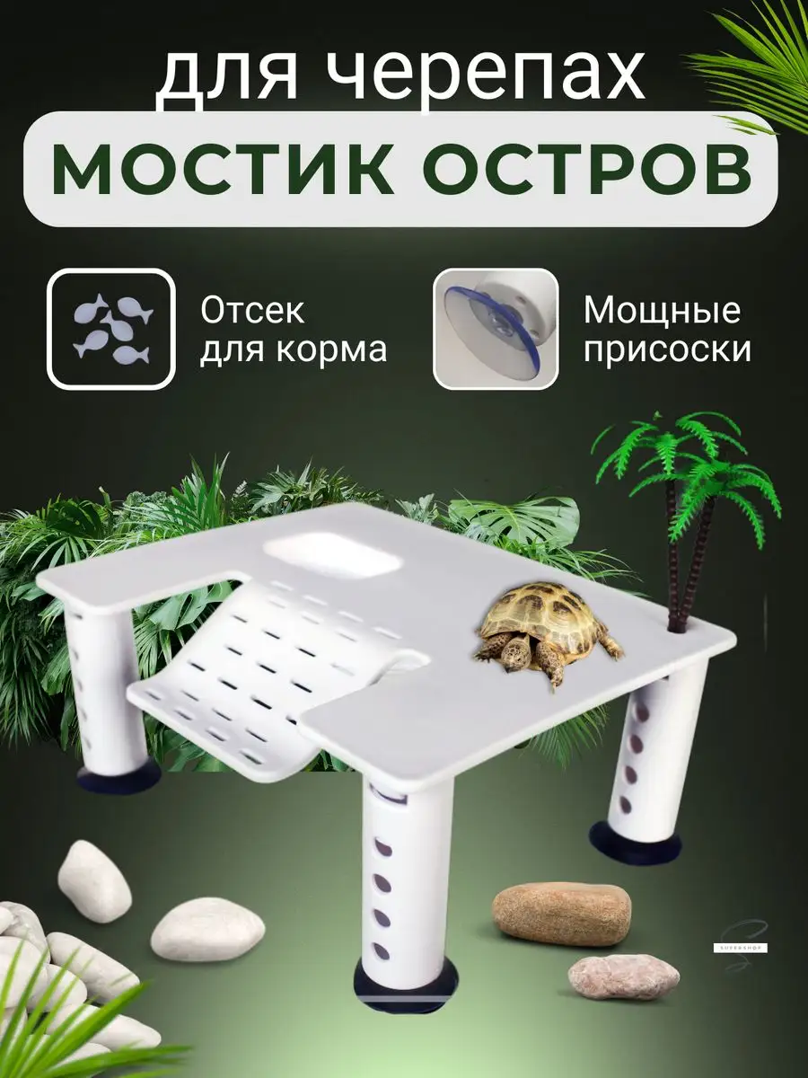 Аквариум для красноухой черепахи: устройство и оборудование