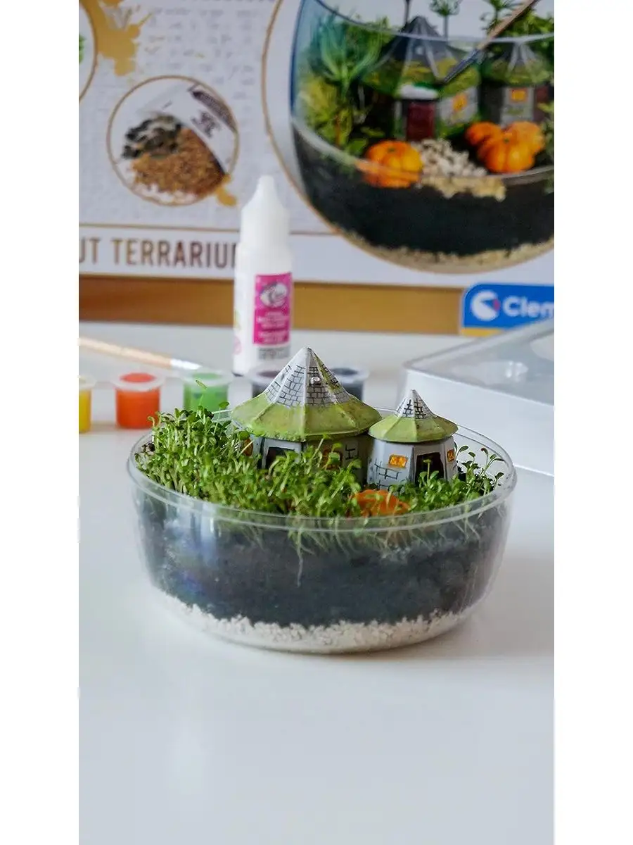 Harry Potter - Terrarium Clementoni UK