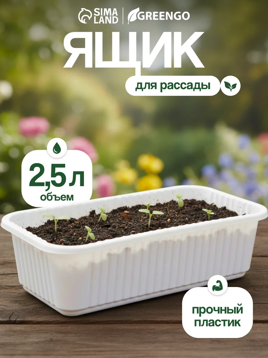 Ящик для рассады