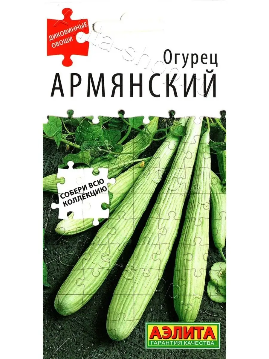 Огурец Армянский (10 семян)