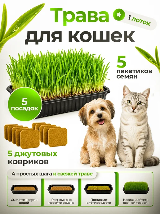 FOREST GREEN Трава для кошек проращивания, зеленый
