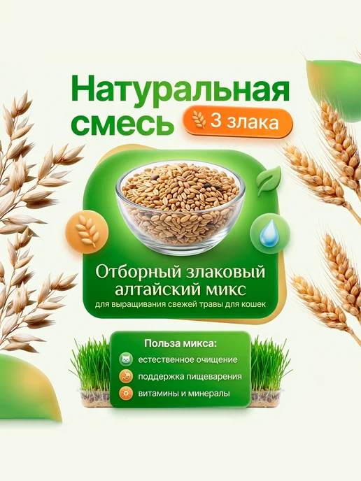 FOREST GREEN Трава для кошек проращивания, зеленый, фото 5