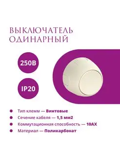 Выключатель одноклавишный накладной ONEKEYELECTRO 171273599 купить за 419 ₽ в интернет-магазине Wildberries