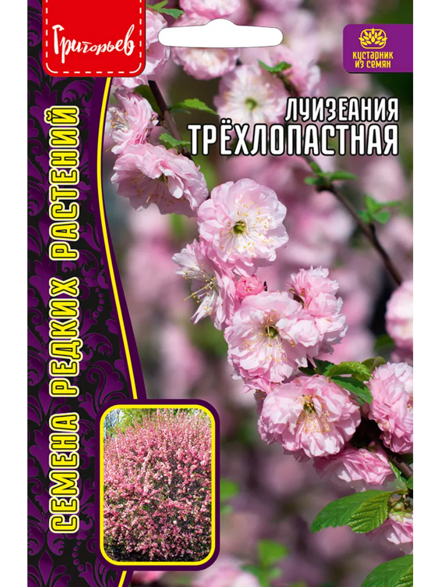 Семена Луизиания (Миндаль трехлопастный) 3шт.