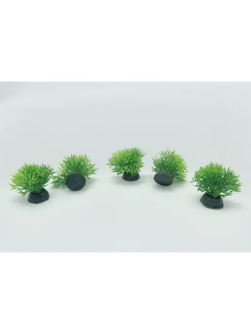 Takifugu Набор микрозелени для аквариума, 5 шт, фото 2