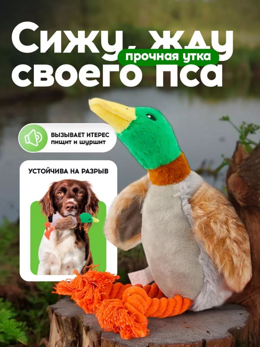 Утка игрушка для собак Funny Chicken 171336268 купить за 309 ₽ в  интернет-магазине Wildberries