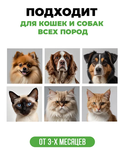 Spets Комплект шампунь для собак от запаха и гель для лап 1л+1л, 1 л, 1 л, фото 5