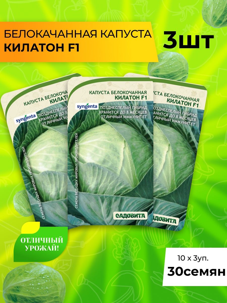 Капуста килатон описание. Капуста Килатон f1. Капуста Килатон. Трой НИКС Килатон.