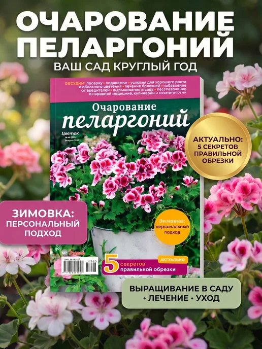 Цветок Журнал о цветах. Пеларгонии полезные советы по уходу, вариант, фото 2