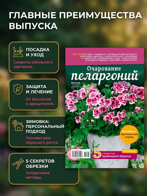 Цветок Журнал о цветах. Пеларгонии полезные советы по уходу, вариант, фото 3