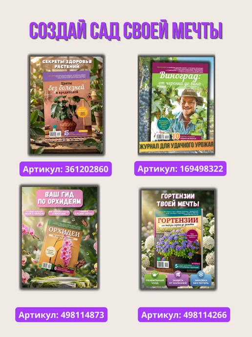 Цветок Журнал о цветах. Пеларгонии полезные советы по уходу, вариант, фото 7