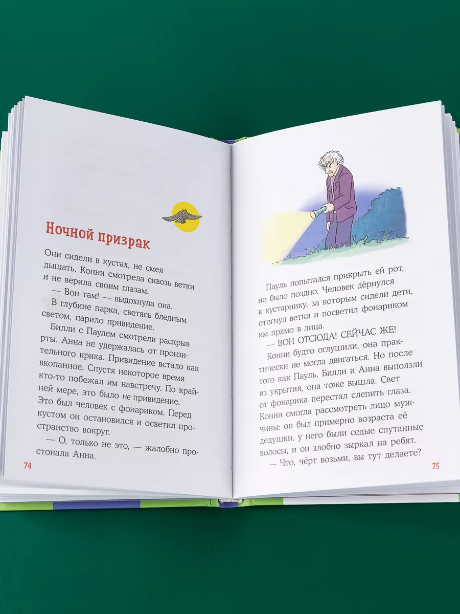 Домик на дереве Альпина. Книги 171366675 купить за 435 ₽ в  интернет-магазине Wildberries