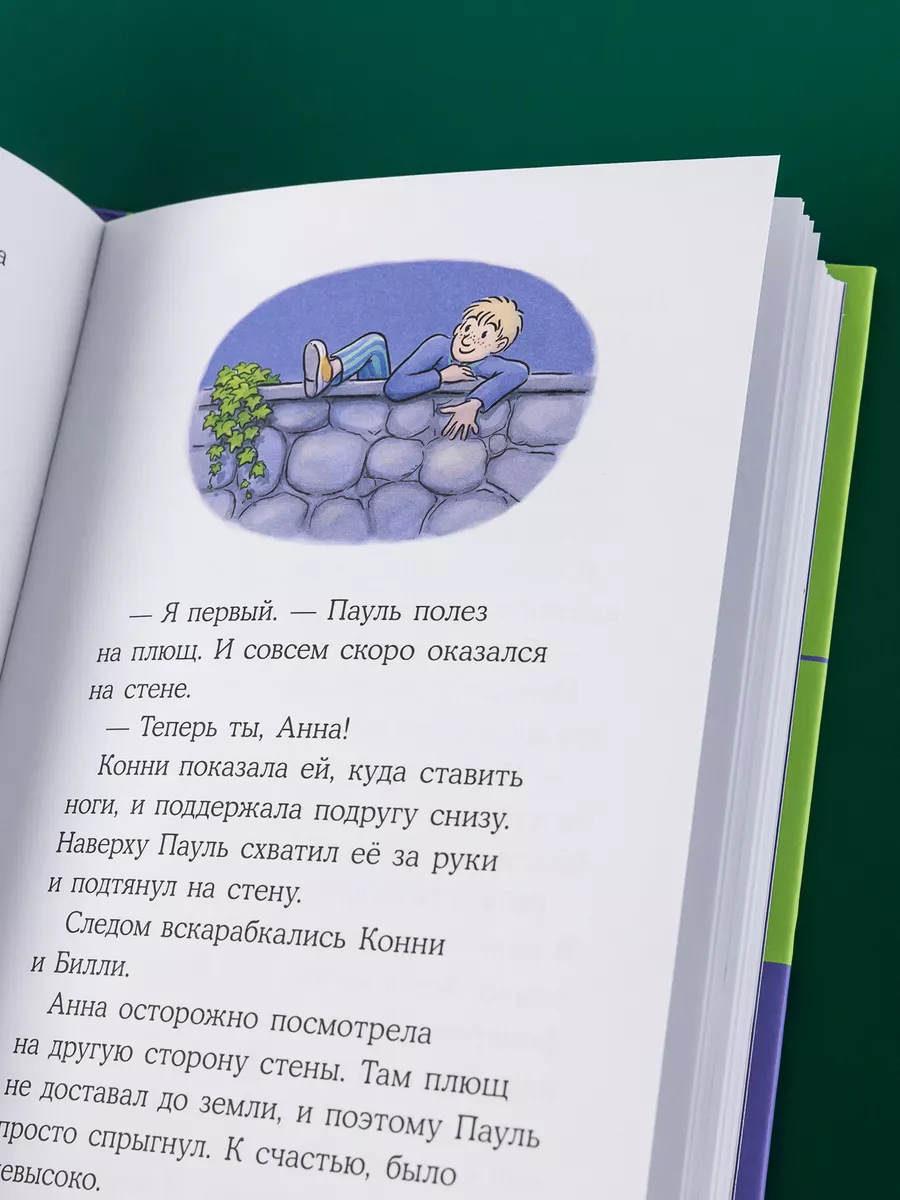 Домик на дереве Альпина. Книги 171366675 купить за 435 ₽ в  интернет-магазине Wildberries