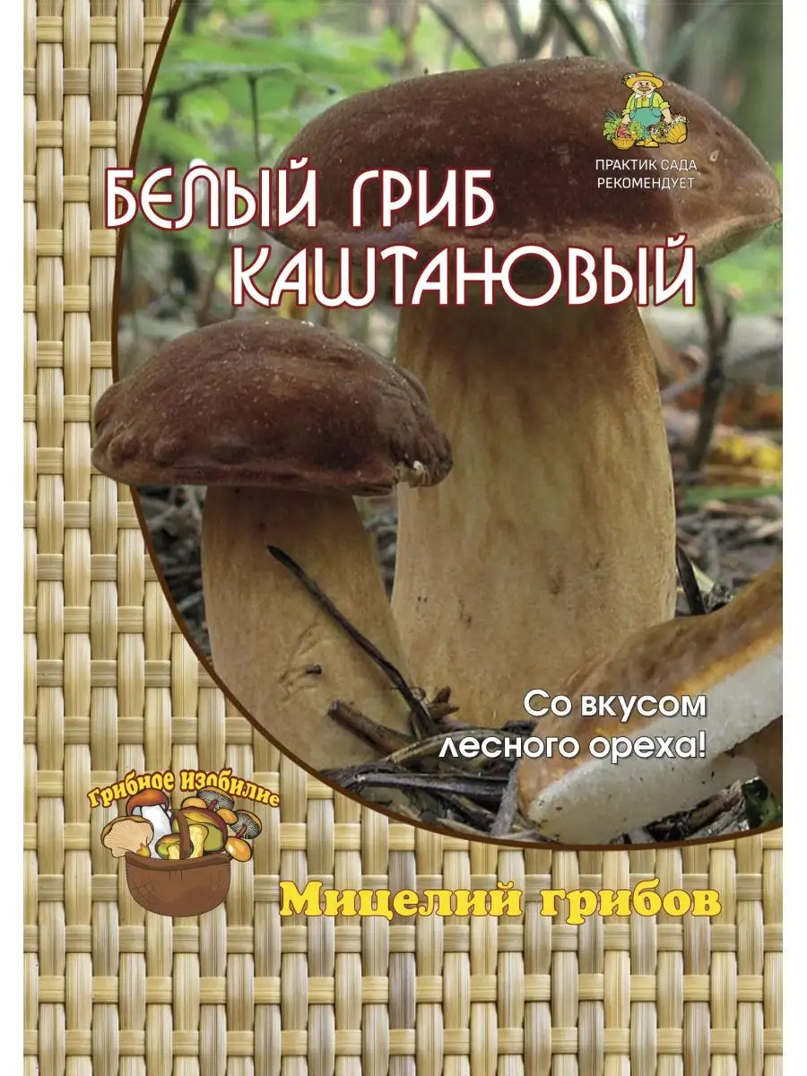 Мицелий Белый гриб каштановый (60 мл)