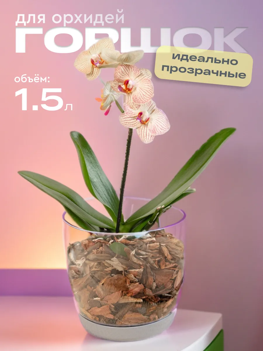 Горшок для орхидеи...