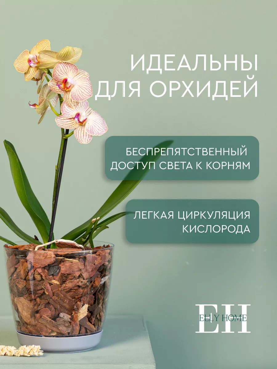 Горшок для орхидеи маленький прозрачный кашпо Elly Home 171430254 купить за  872 ₽ в интернет-магазине Wildberries