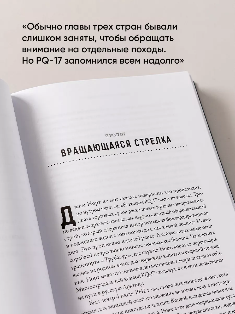 Корабли-призраки Альпина. Книги 171432223 купить за 548 ₽ в  интернет-магазине Wildberries