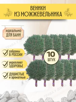 Набор из 10 веников Трава у дома 171432760 купить за 1 599 ₽ в интернет-магазине Wildberries