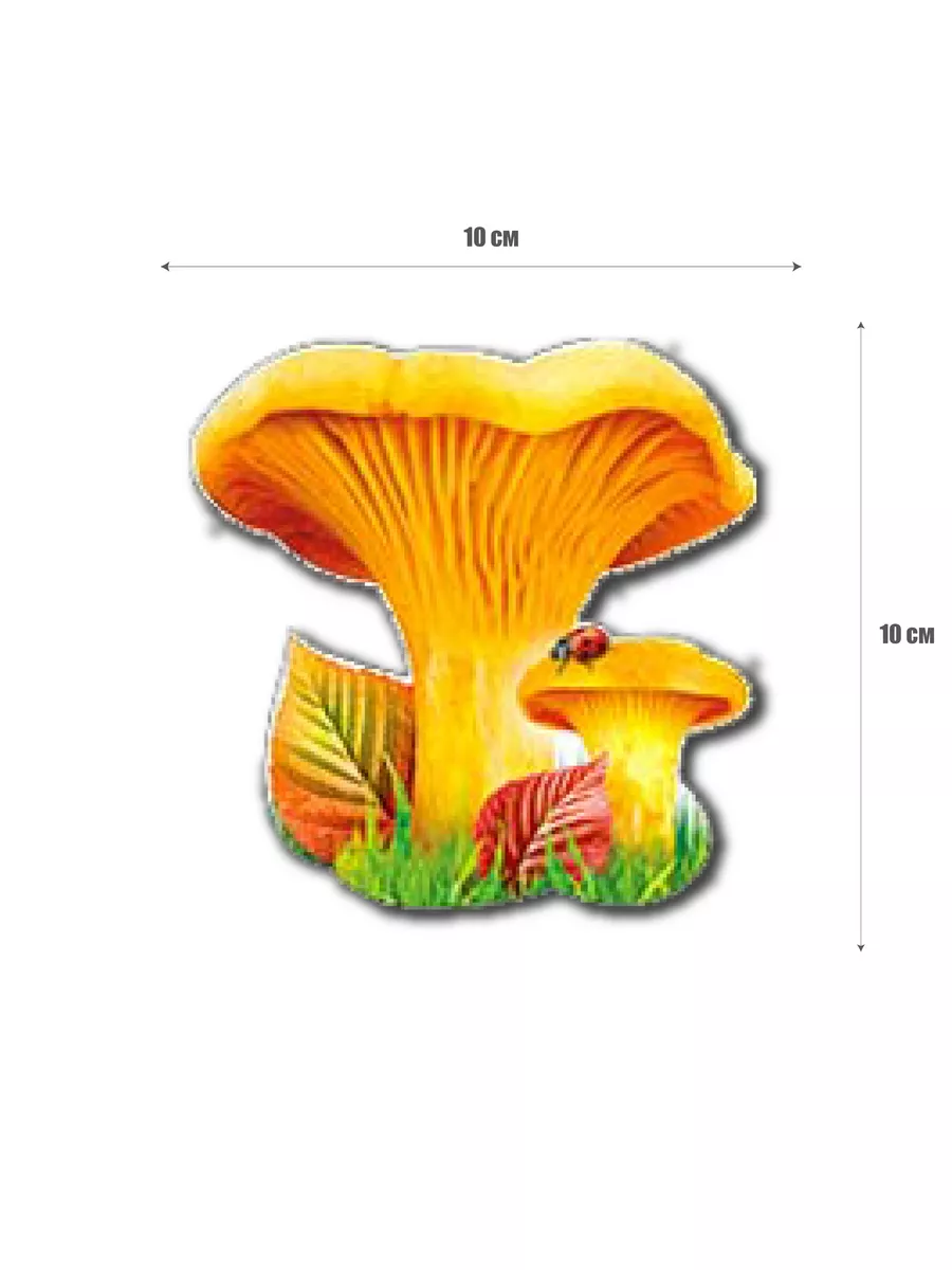 Поделки грибы для сада – крупные и яркие