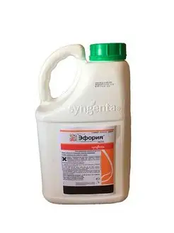 Эфория Syngenta 171488005 купить за 17 617 ₽ в интернет-магазине Wildberries