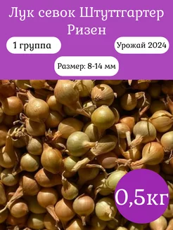 Лук севок озимый на посадку в зиму лучок-пучок 171517595 купить за 176 ₽ в интернет-магазине Wildberries