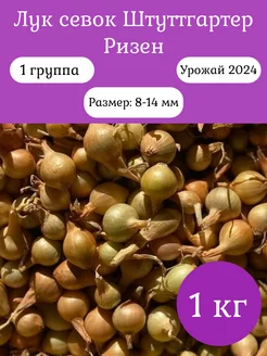 Лук севок на посадку лучок-пучок 171517596 купить за 203 ₽ в интернет-магазине Wildberries