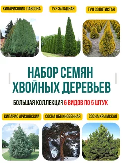 Набор семян хвойных деревьев Колокольчик 171528699 купить за 148 ₽ в интернет-магазине Wildberries