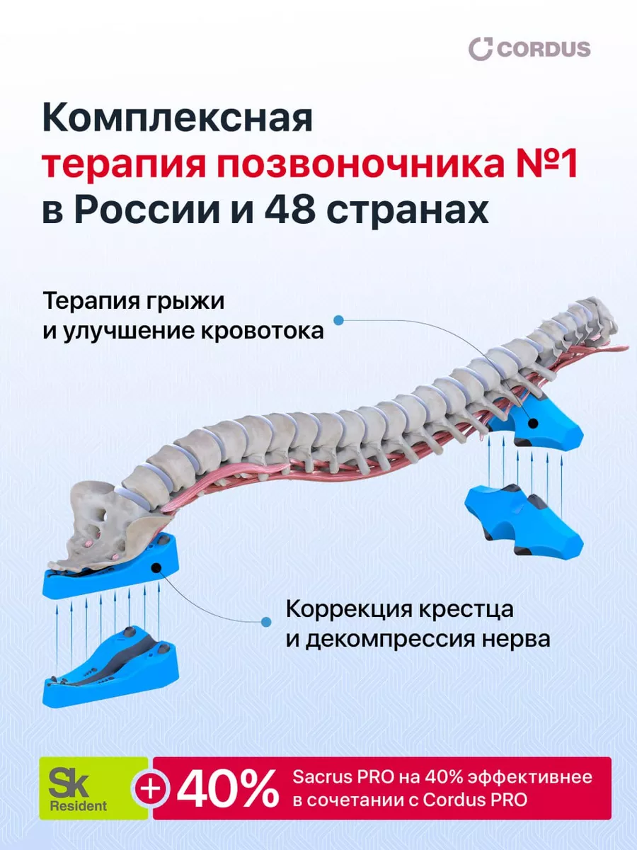 Массажер для спины, шеи и поясницы Sacrus Pro Cordus&Sacrus 171576794  купить в интернет-магазине Wildberries