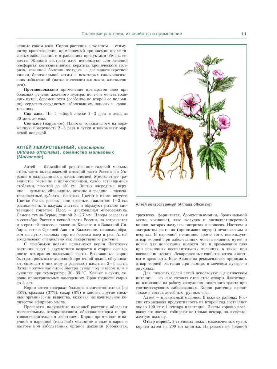 Лекарственные растения. Большой атлас Издательство АСТ 171611236 купить за  1 820 ₽ в интернет-магазине Wildberries