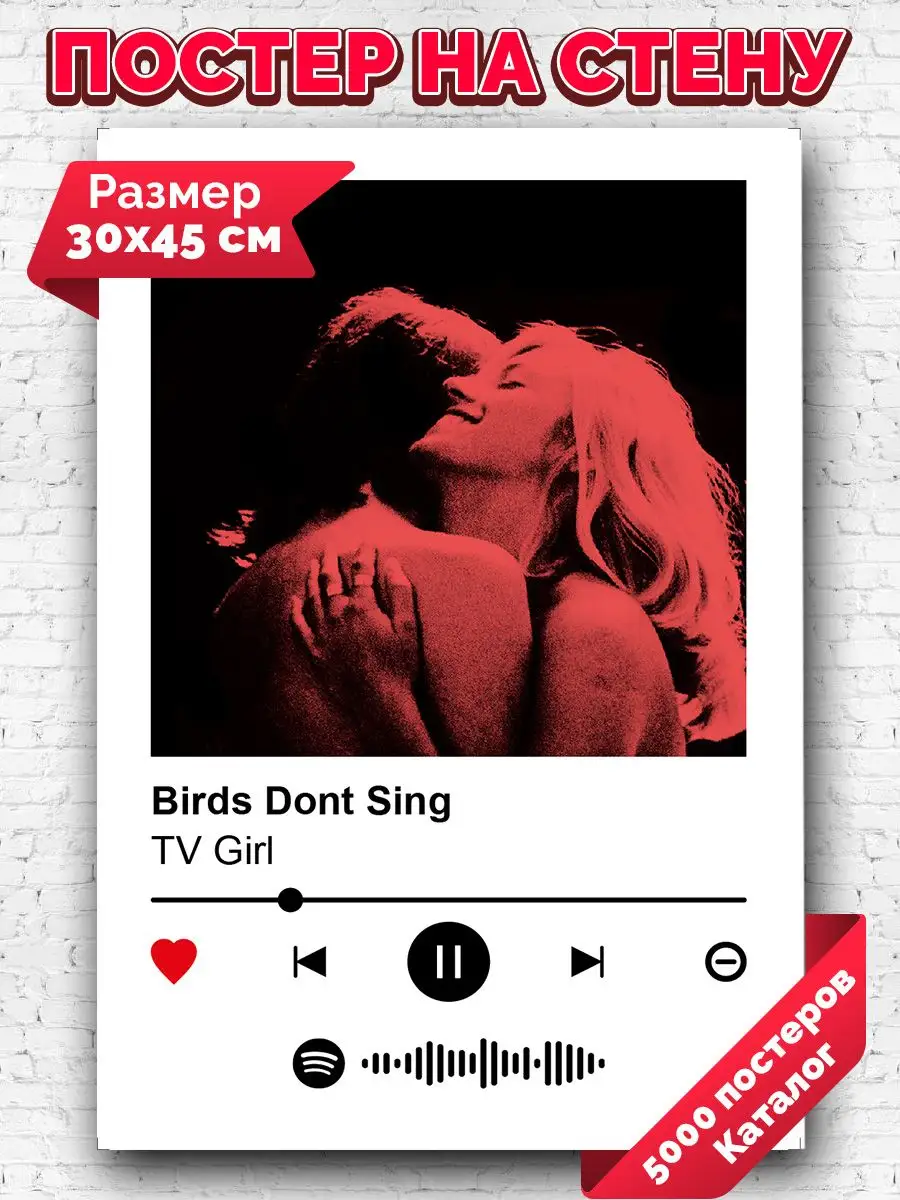 Постеры на стену TV Girl - Birds Don t Sing 30х45 Arthata-spotify постер  Спотифай постер 171615842 купить за 261 ₽ в интернет-магазине Wildberries