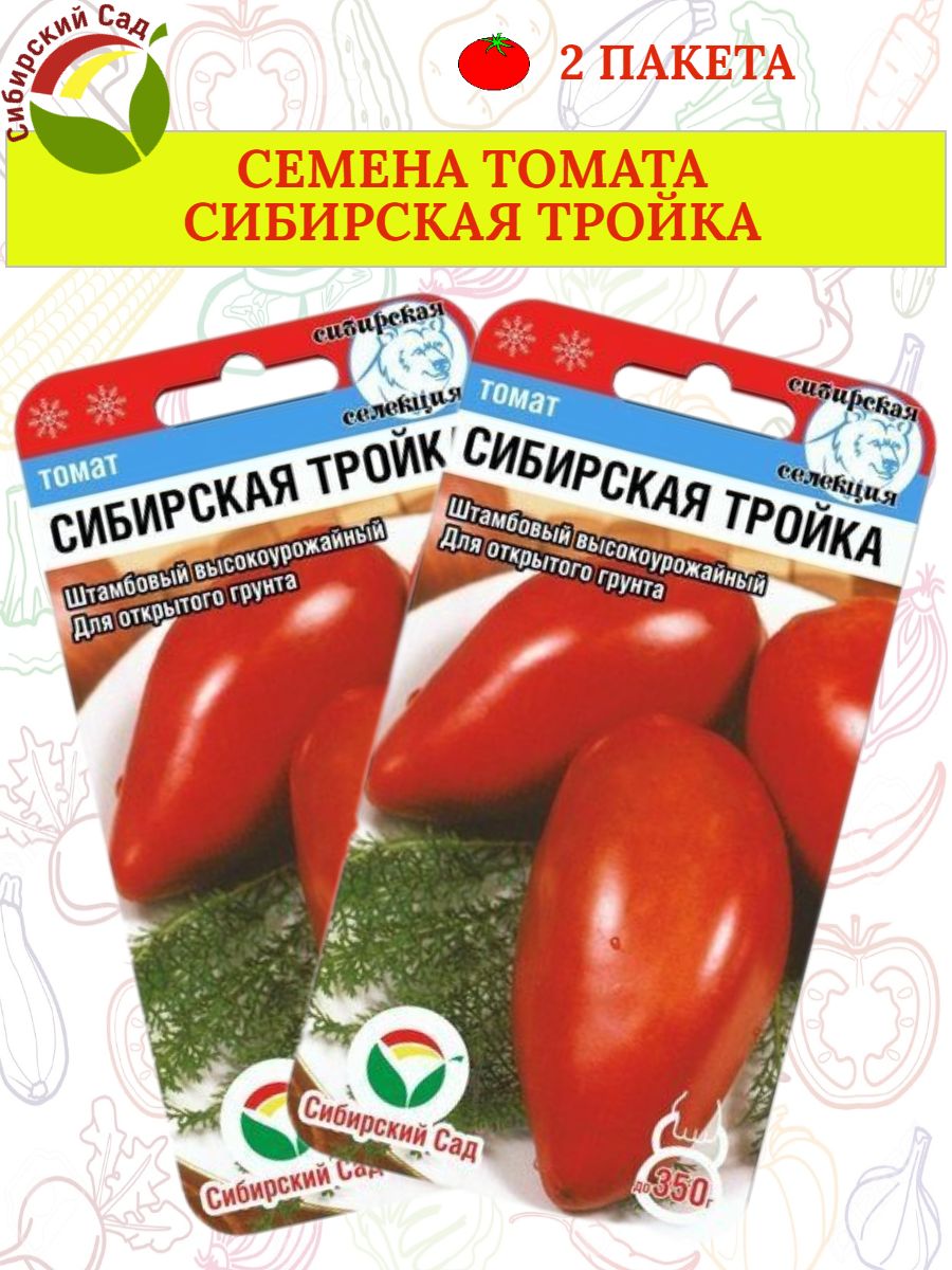 Сибирская тройка помидоры описание отзывы. Помидоры Сибирская тройка. Томат Сибирская тройка характеристика. Томат Сибирская тройка фото. Огурец Сибирская тройка.