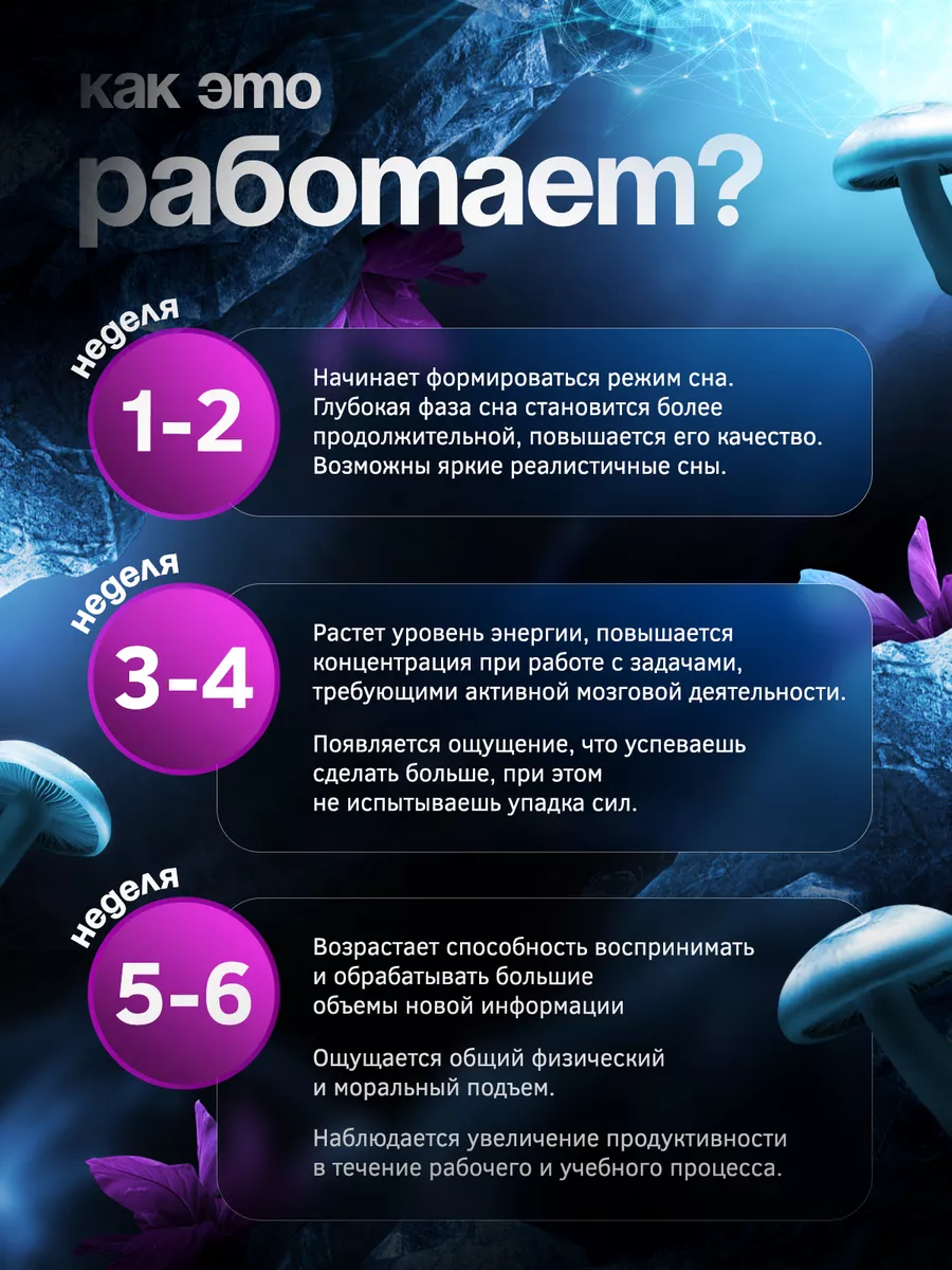 Ежовик гребенчатый мицелий 2 банки по 120 капсул 500 мг Angel Healthy  171742541 купить за 1 010 ₽ в интернет-магазине Wildberries