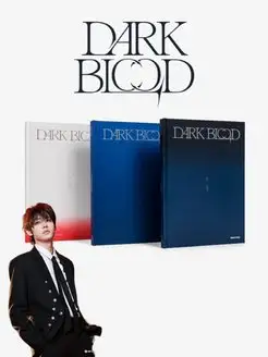 Альбом Enhypen Dark Blood kpop (Энхайпен карточки) CheerUp