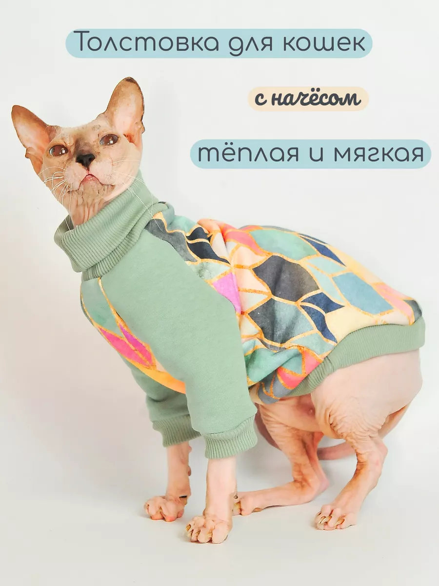 Одежда для кошки своими руками: как сшить модные аксессуары для питомца