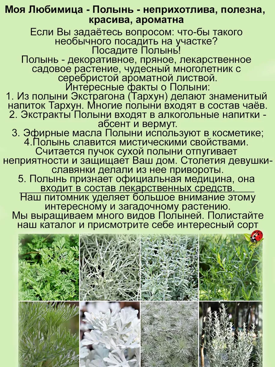 Следователь полиции с подругой проник в чужой дом и устроил там пьяный дебош | Пикабу