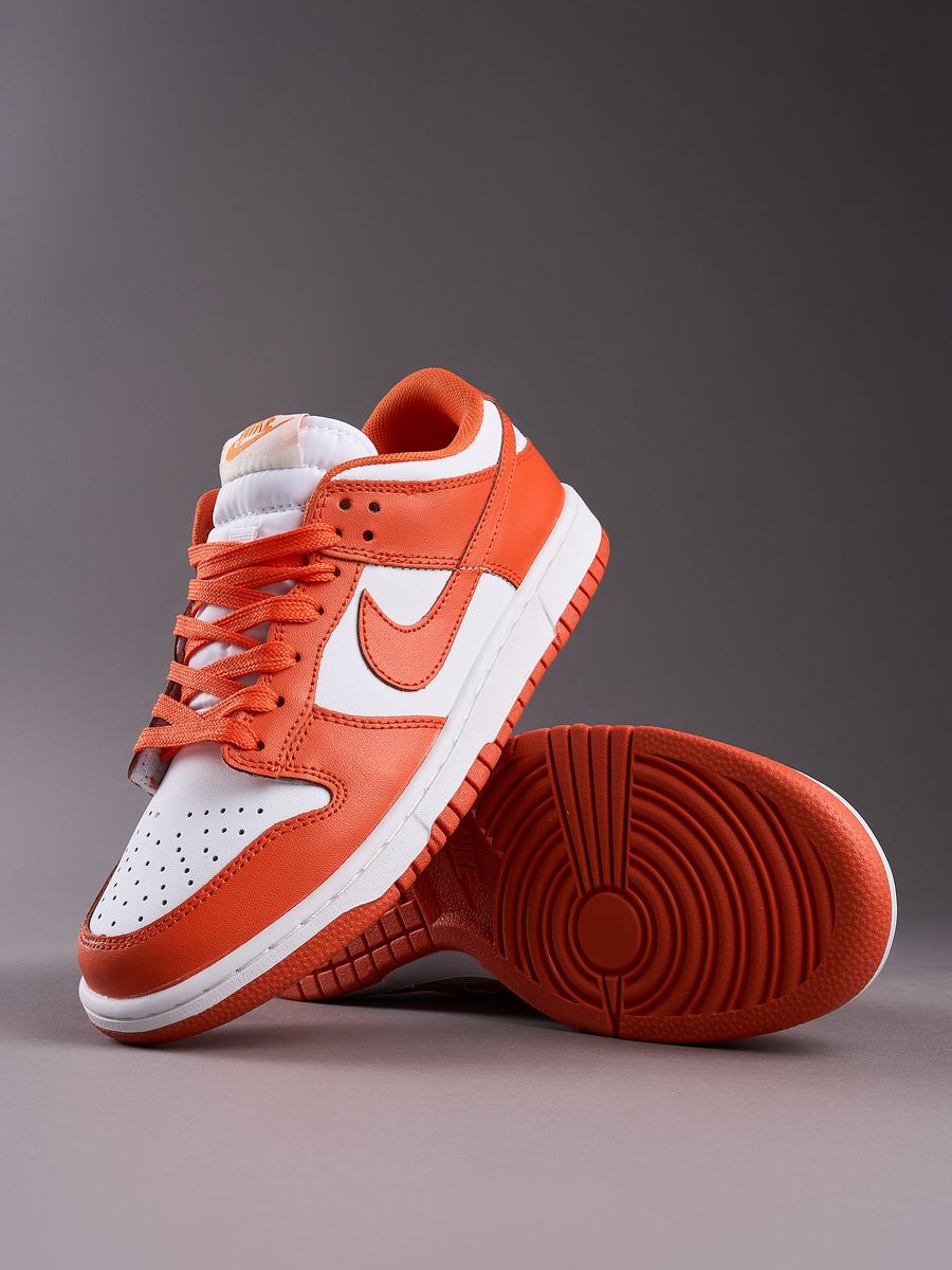 Nike Dunk Low SB Heels