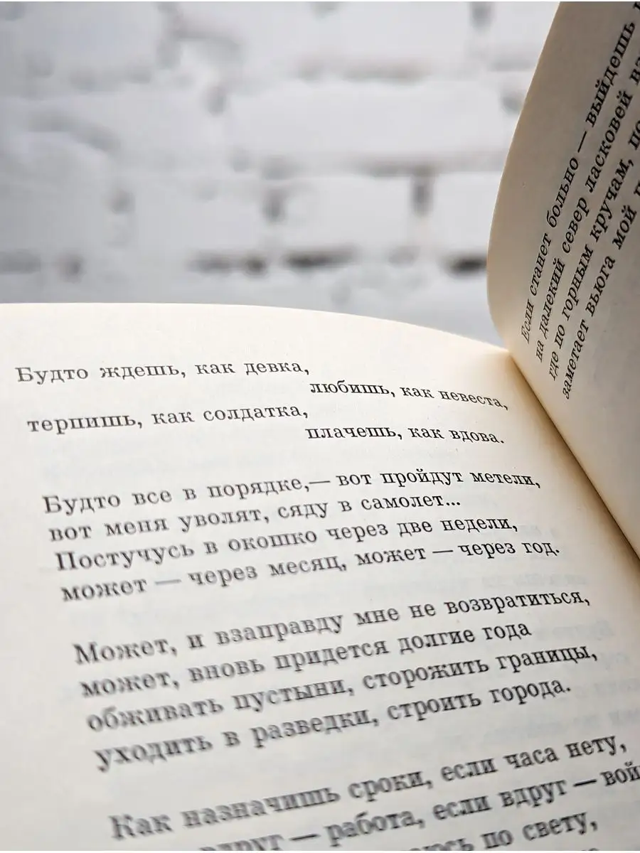 Борис Ручьев. Стихи Художественная литература 171955797 купить в  интернет-магазине Wildberries