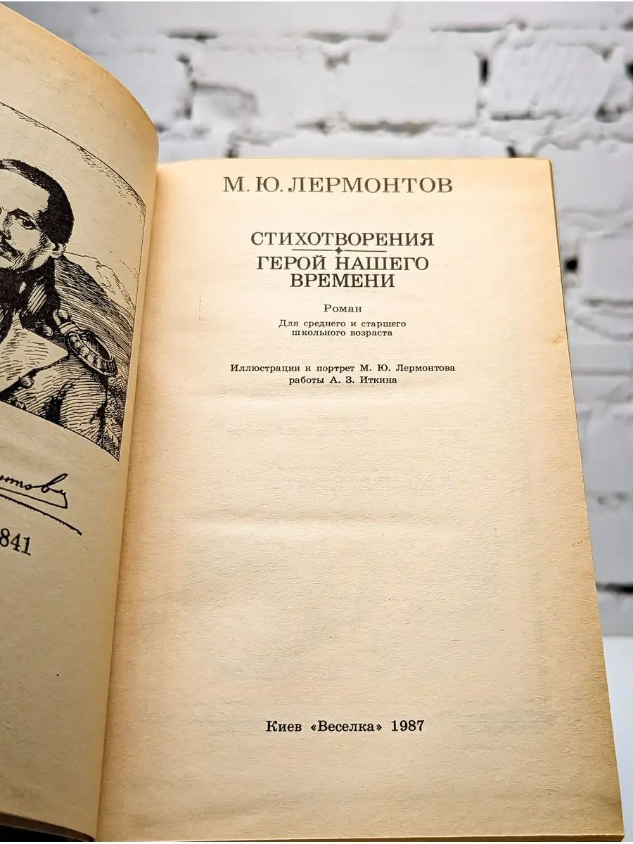 Стихотворения. Герой нашего времени Веселка 171985433 купить в  интернет-магазине Wildberries