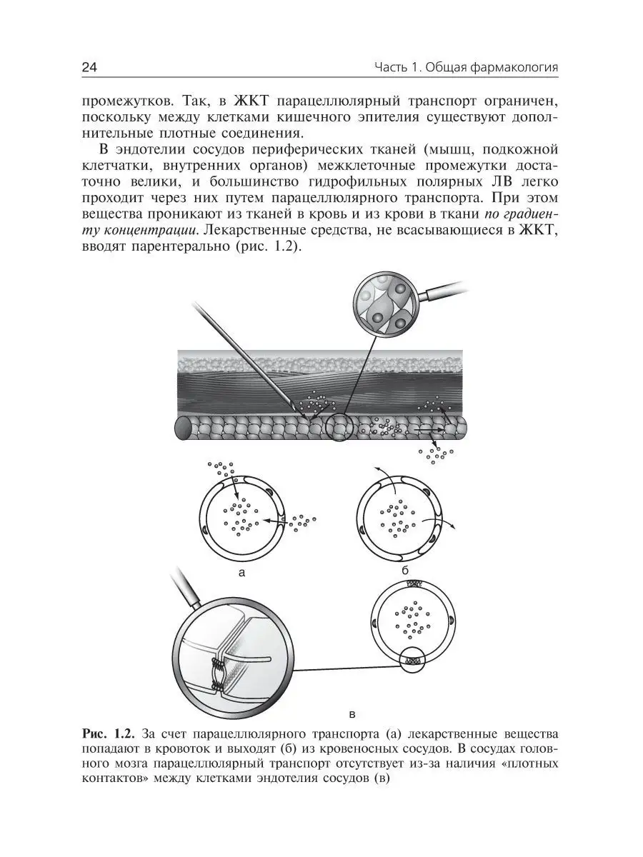 Фармакология. Ultra light. Учебное пособие ГЭОТАР-Медиа 171989748 купить за  1 691 ₽ в интернет-магазине Wildberries