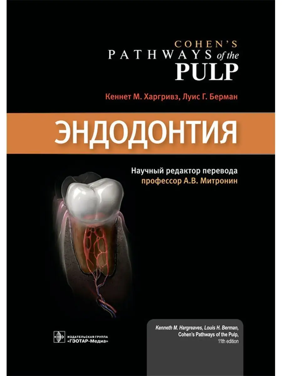 Эндодонтия ГЭОТАР-Медиа 171989929 купить за 12 065 ₽ в интернет-магазине  Wildberries