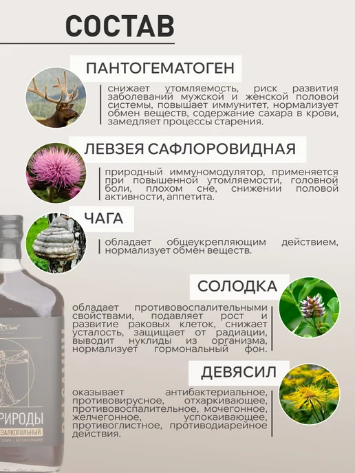 АЛТАЙ СИЛА Алтайский бальзам с пантогематогеном Сила природы, 250мл, по…, 100 мл, фото 3
