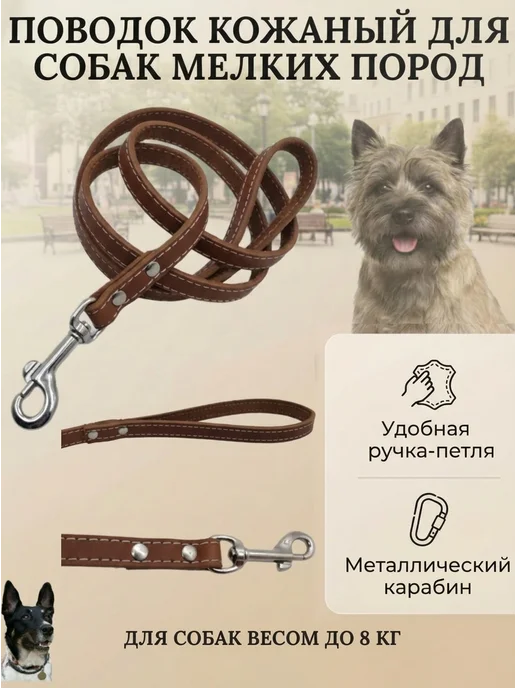 Надежный Малыш Поводок для собак мелких пород кожаный, черный, фото 2