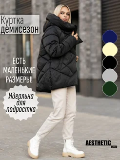 Куртка весенняя удлиненная с большим капюшоном Aesthetic brand 172037035 купить за 4 371 ₽ в интернет-магазине Wildberries