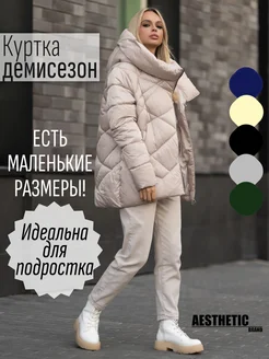 Куртка демисезонная с большим капюшоном Aesthetic brand 172037038 купить за 4 567 ₽ в интернет-магазине Wildberries