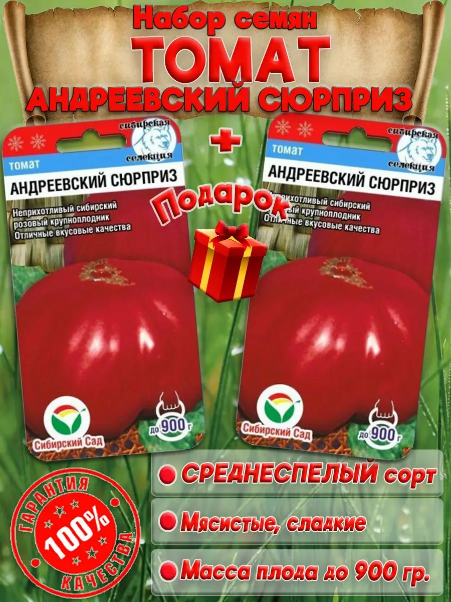 Томаты Андреевский Сюрприз Отзывы Фото Урожайность