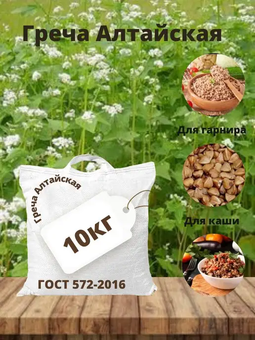 Алтайские Закрома Крупа гречневая 10кг Греча ядрица, 10 кг, фото 2