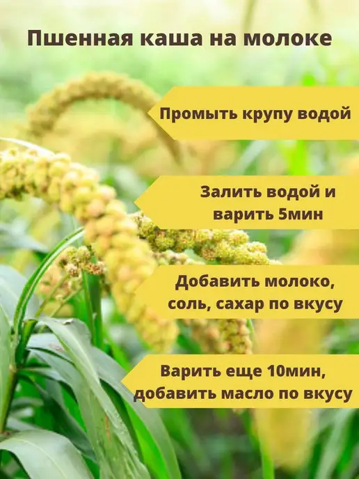 ООО"Оника" Крупа пшенная, Пшено 10кг, 10 кг, фото 4
