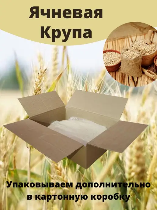 ИП Осипов И.Н. Крупа ячневая, ячка, гост 10кг, 10 кг, фото 5