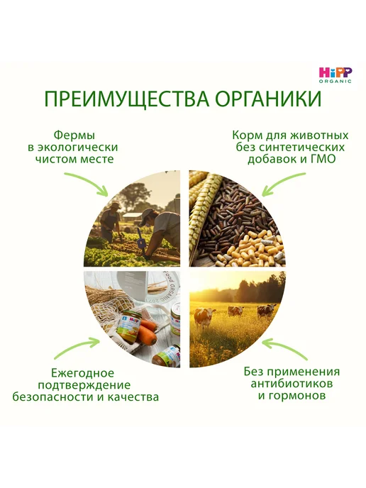 Hipp "Нежные овощи с телятиной", с 8 месяцев, 6х190г, 190 г, фото 4